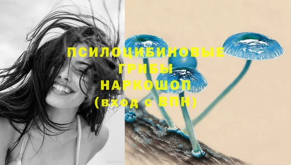 экстази Михайлов