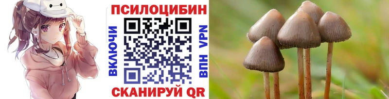 mega вход  закладки  Нерчинск  Галлюциногенные грибы мицелий 